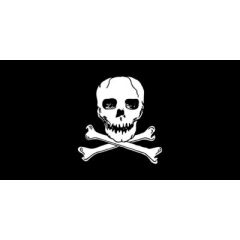 Flying Colours Nylon Jolly Roger Flag, 10" x 15", pirate flag, adventure flag