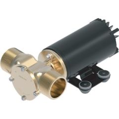 Johnson Pump 102493918, 12V Ballast Pump