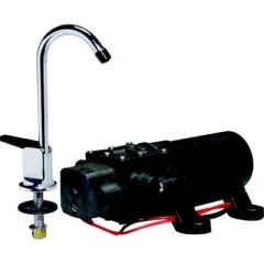 WPS Water Pump & Faucet Combo, energy-efficient water pump