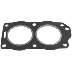 Sierra Head Gasket, Johnson/Evinrude Boat Owners