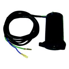 Tilt & Trim Motors, Boat Enthusiasts