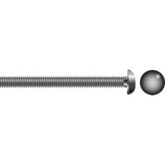 Carriage Bolt, Stainless Steel