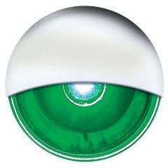 Seachoice 05511 LED Mini Accent Livewell Light, Green, marine lighting, outdoor lighting