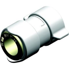 Whale WX1532B Adaptor, Female 1/2 BSP