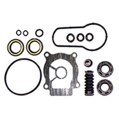 Lower Unit Seal Kit