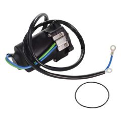 Tilt & Trim Motor