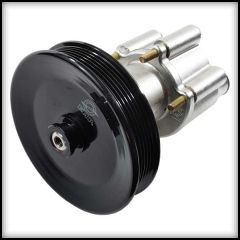 Stainless Steel Complete Pump with Pulley