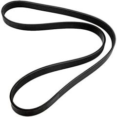 Belt, Serpentine