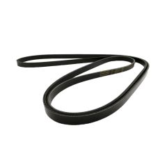 Belt, Serpentine